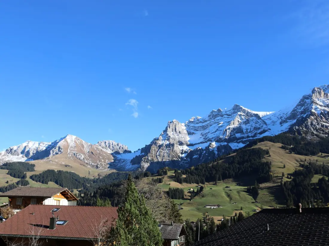 Résidence Gruebi - Haus Baldrian Appartement/Fewo, Bad, WC, 2 Schlafräume 3-Zimmerwohnung