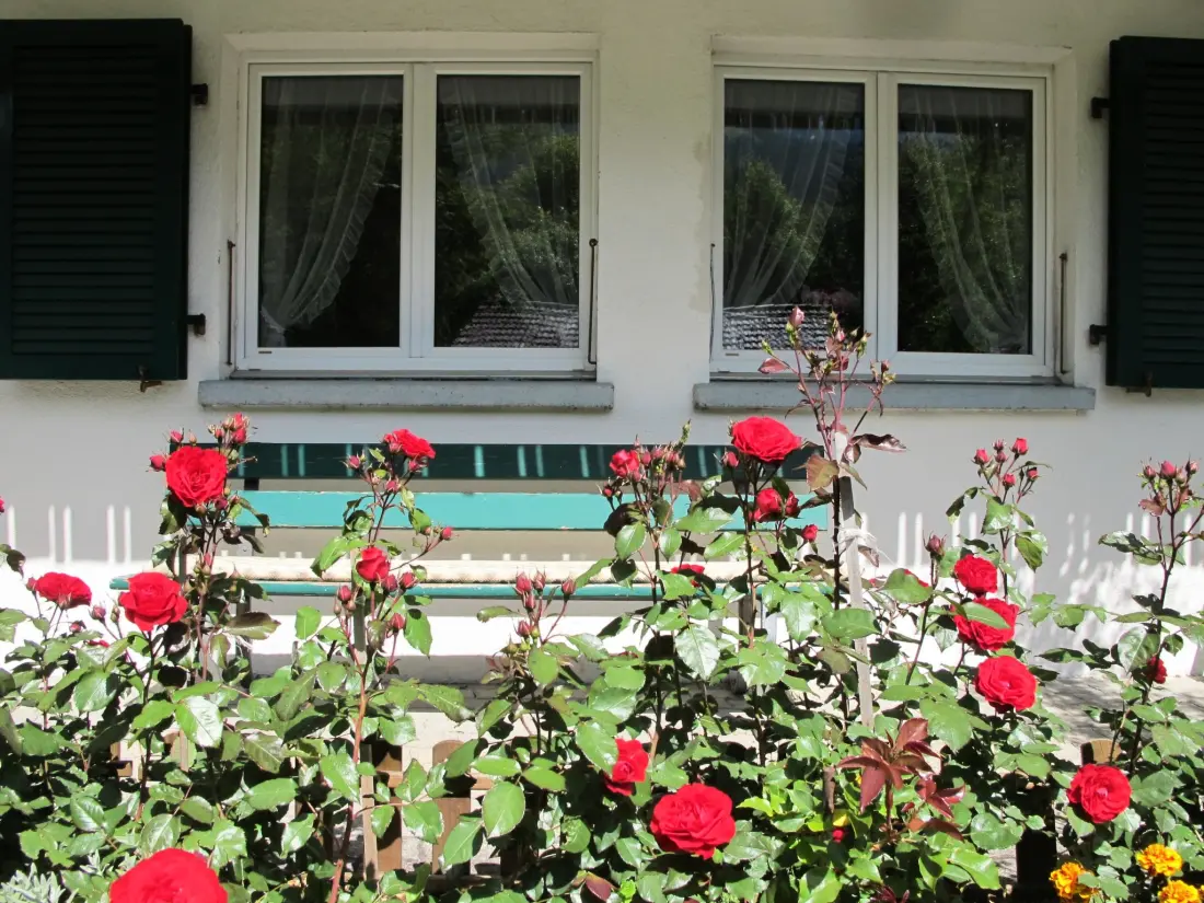 Résidence Helene Appartement/Fewo, Dusche, WC, 2 Schlafräume 3-Zimmerwohnung Parterre