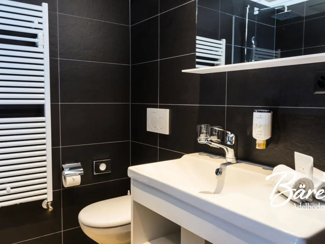 Résidence Hotel  Bären Appartement/Fewo, Dusche, WC, 1 Schlafraum Studio - Nebenhaus