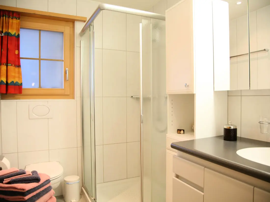 Résidence Viola Appartement/Fewo, Dusche, WC, 1 Schlafraum 2.5-Zimmerwohnung