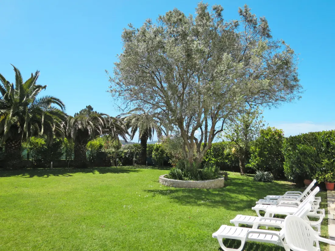 Maison de Vacances Afife