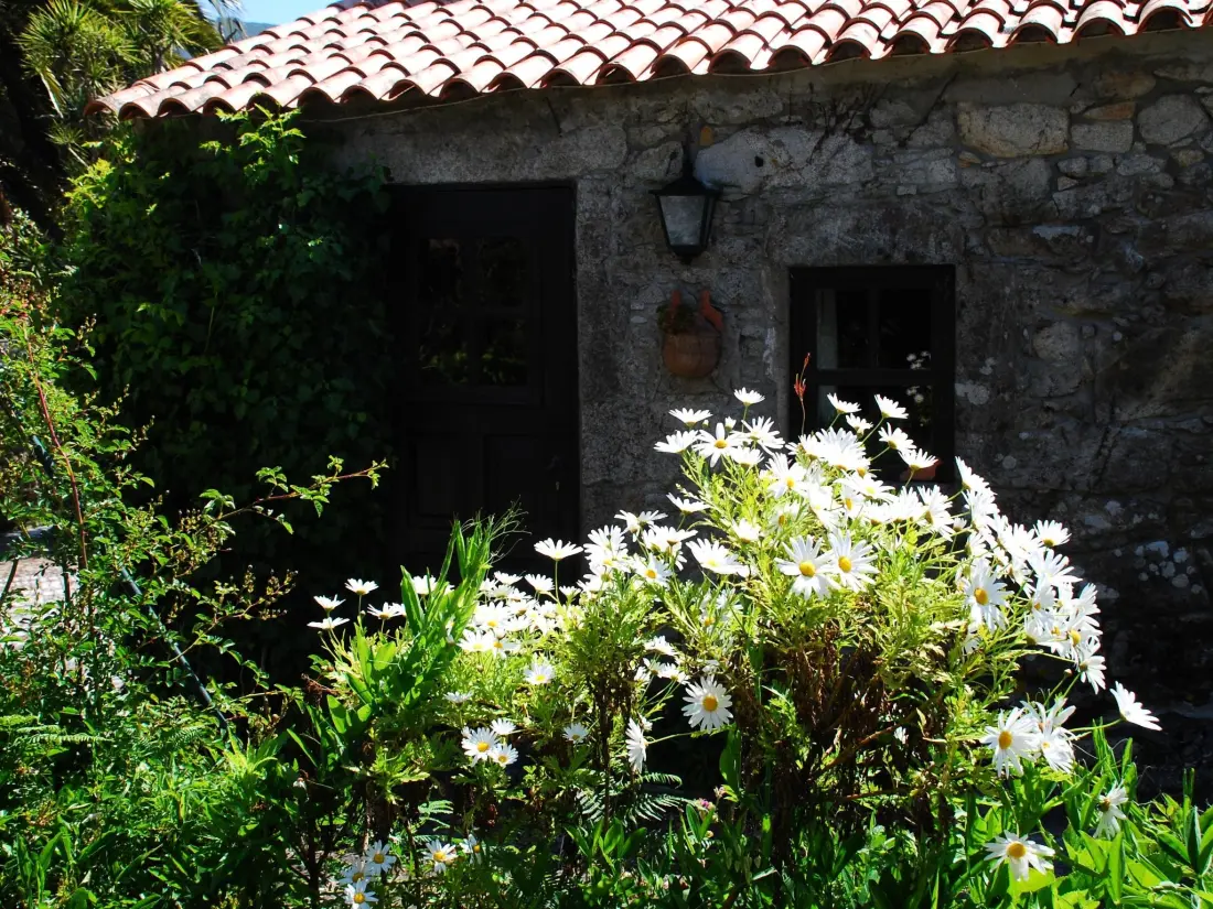 Maison de Vacances Afife