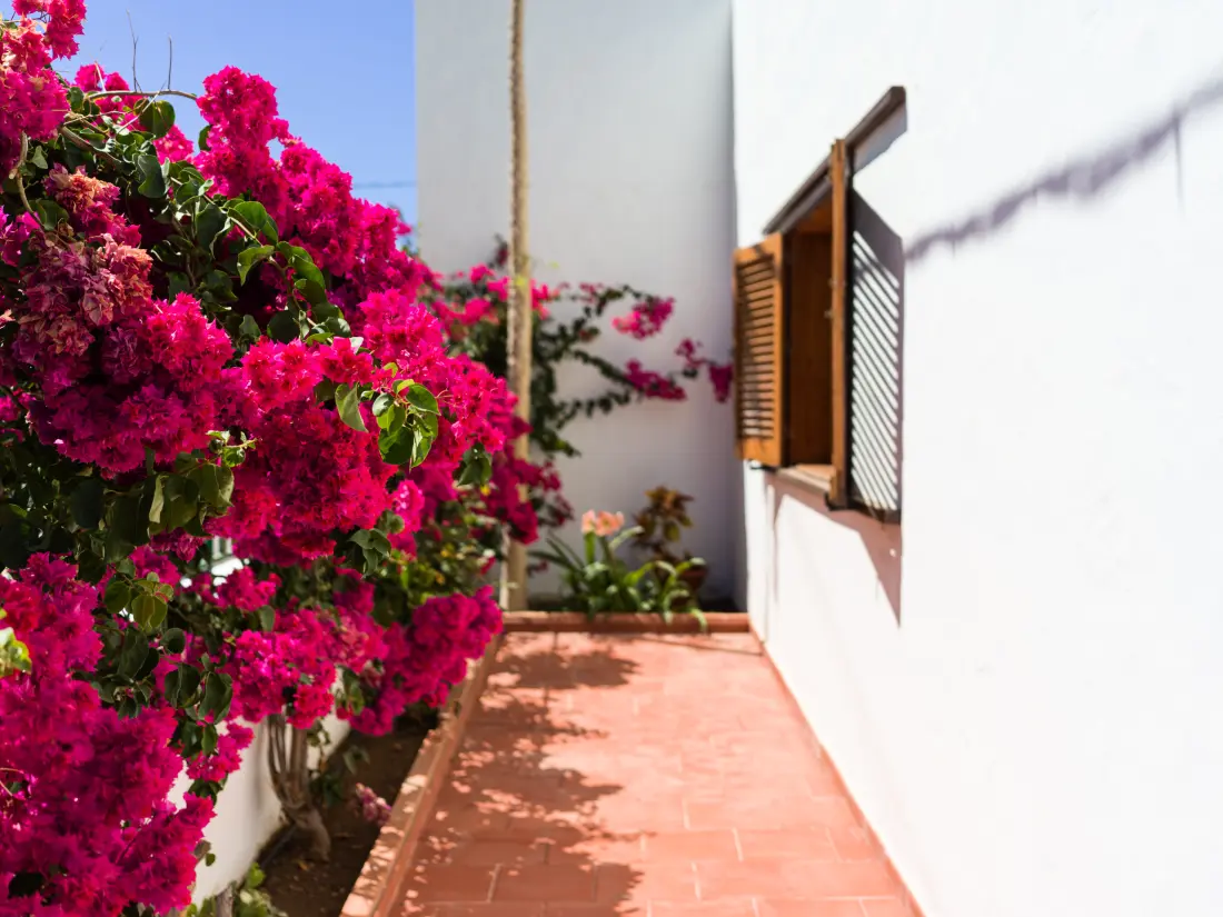 Chalets à Agaete