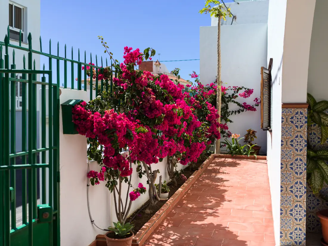 Chalets à Agaete