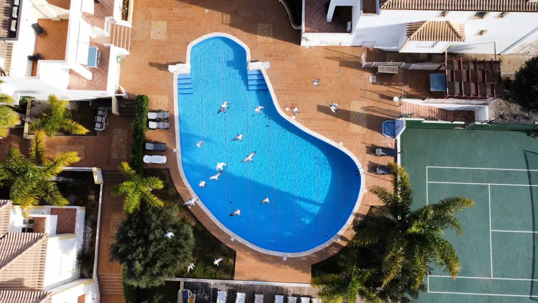 Appartements à Albufeira