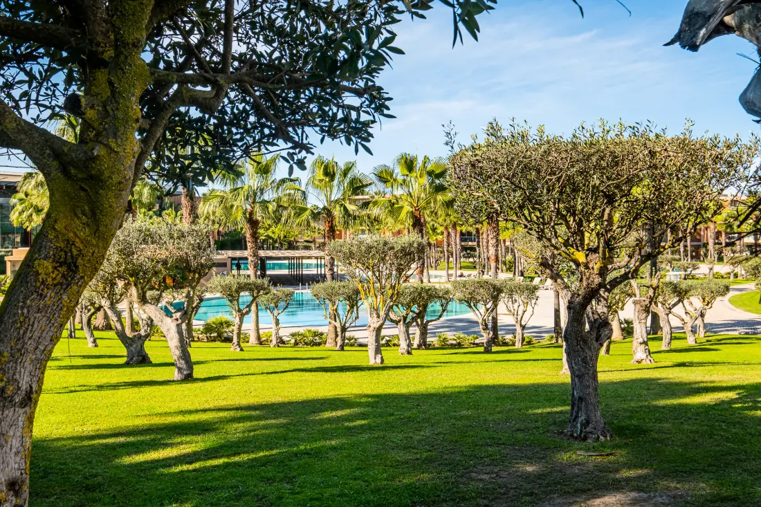 Appartements à Albufeira