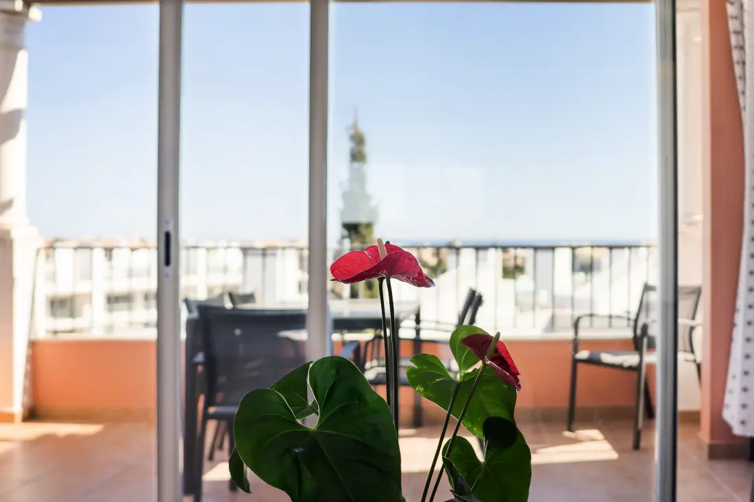 Appartements à Albufeira