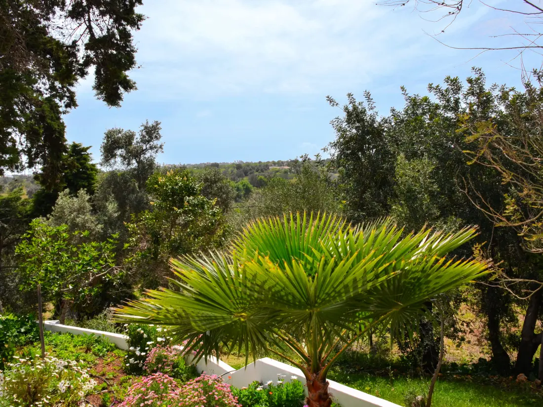 Maison de Vacances Albufeira