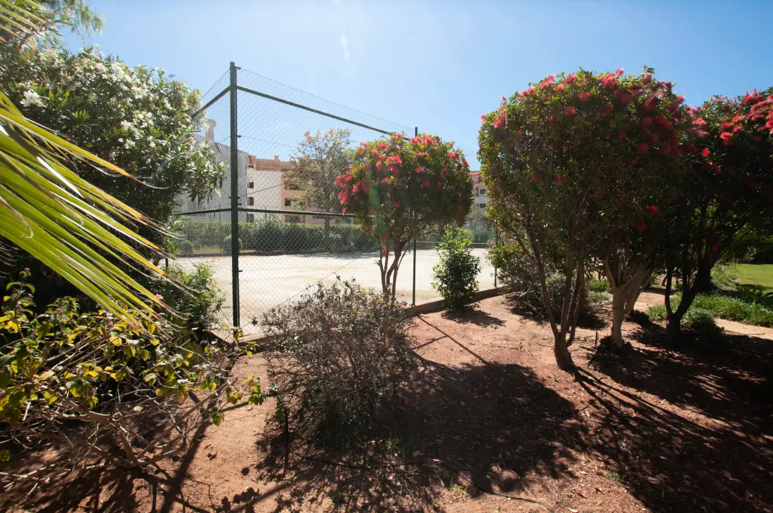 Studio à Albufeira