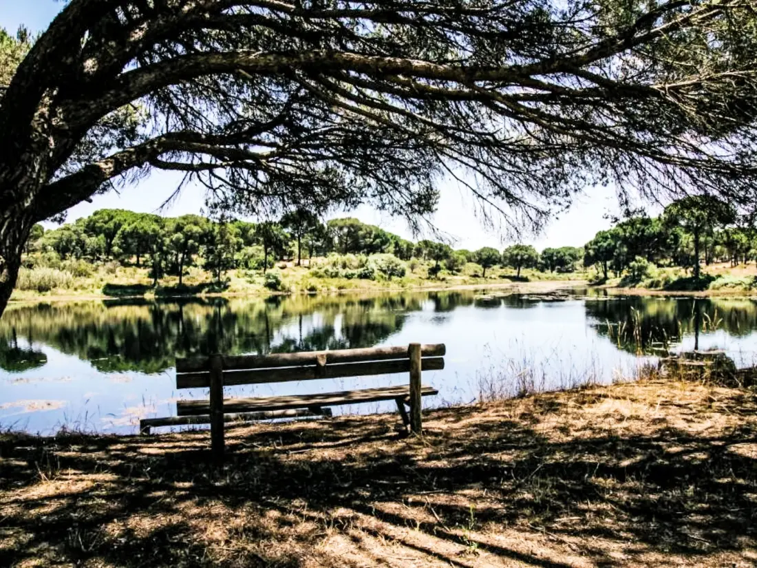 Maison de Vacances Alcácer do Sal