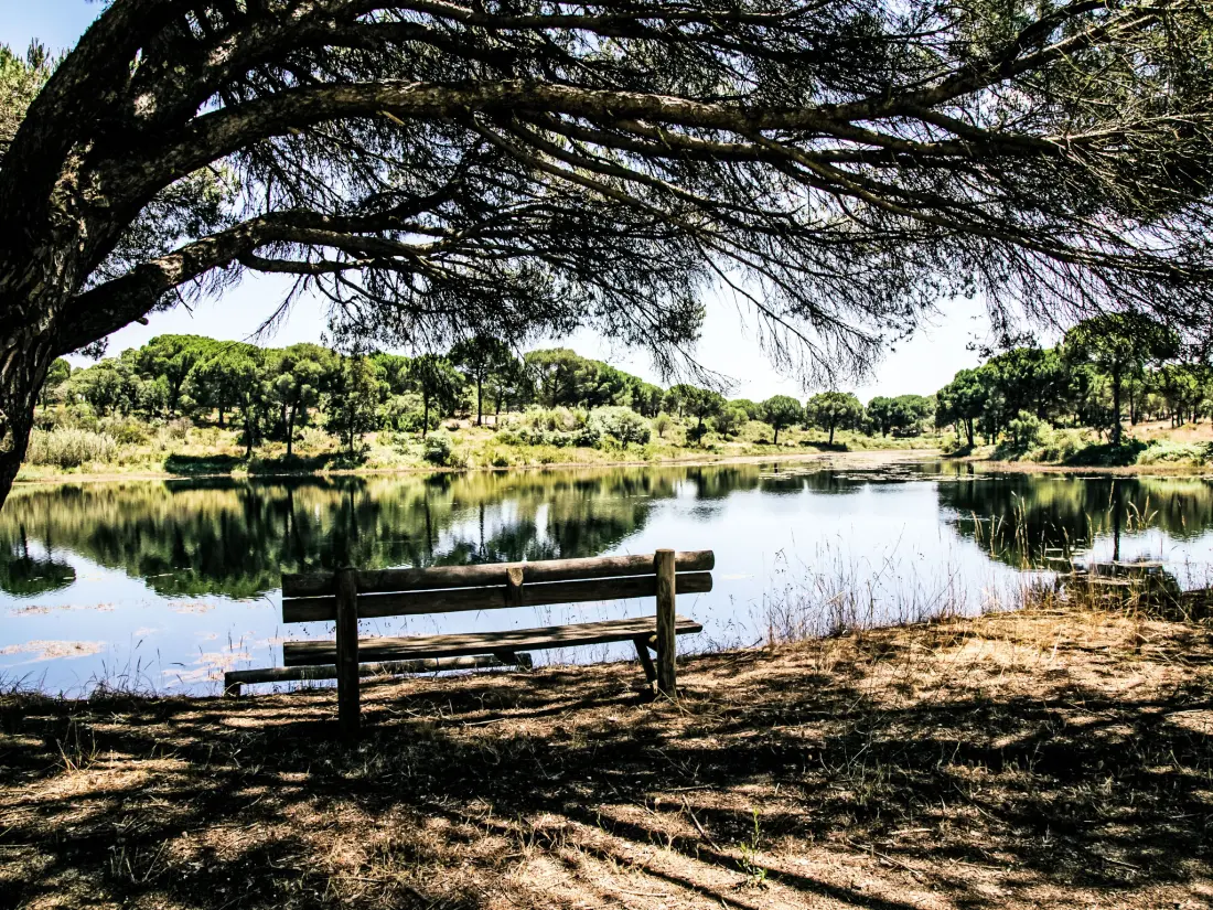Maison de Vacances Alcácer do Sal