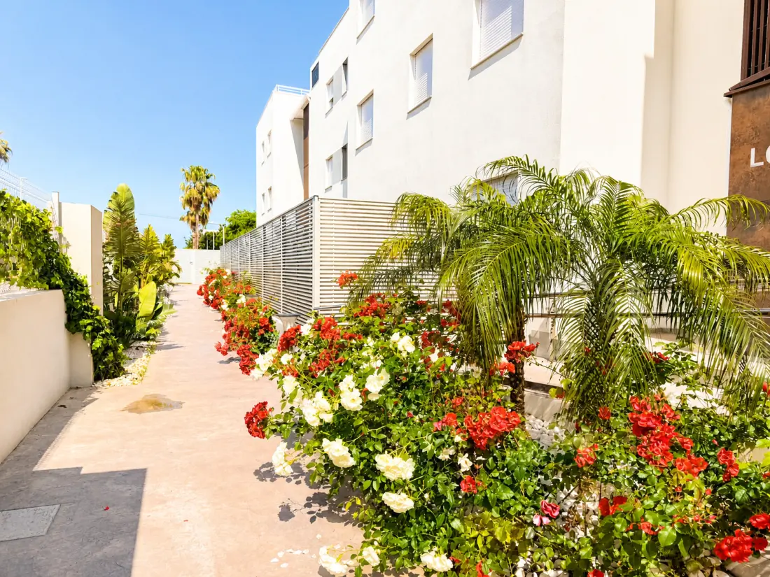 Appartements à Alcossebre