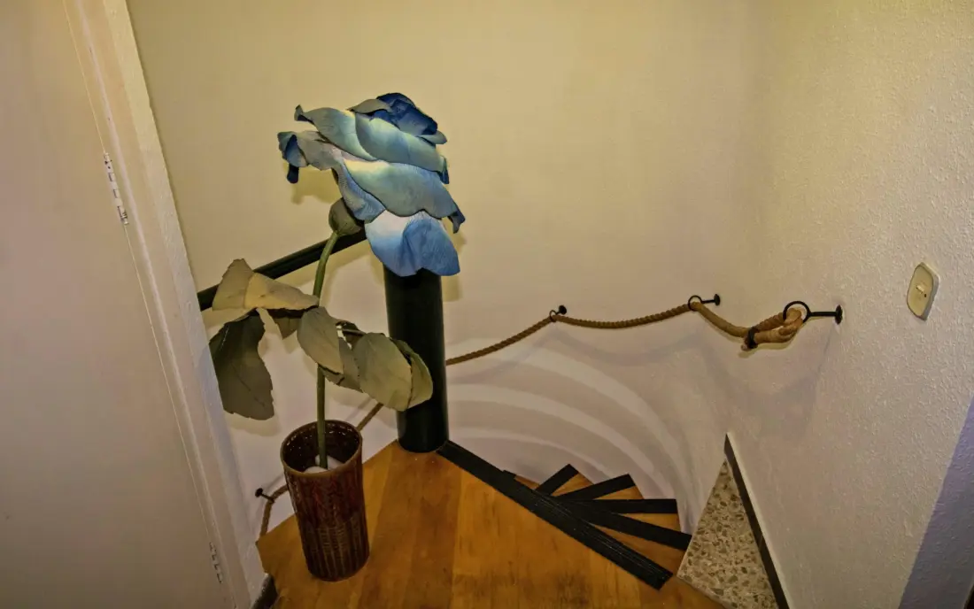 Maison à Alcossebre