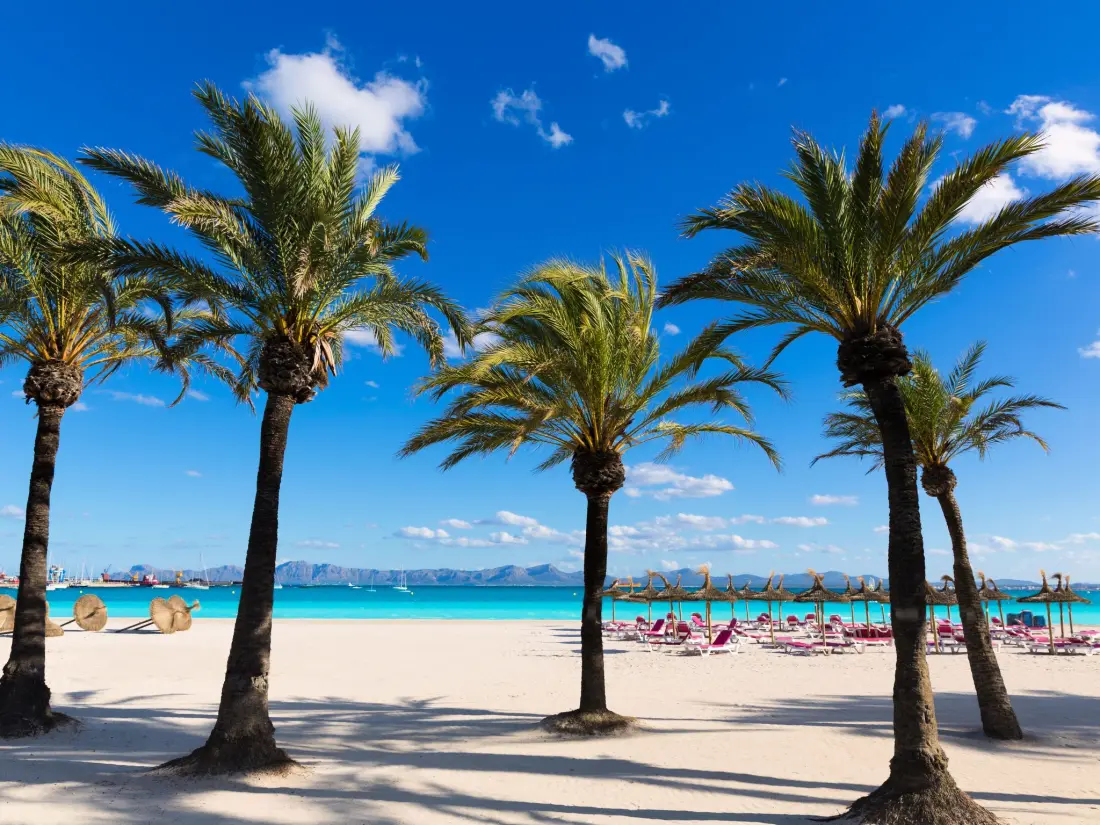 Maison de Vacances Alcúdia