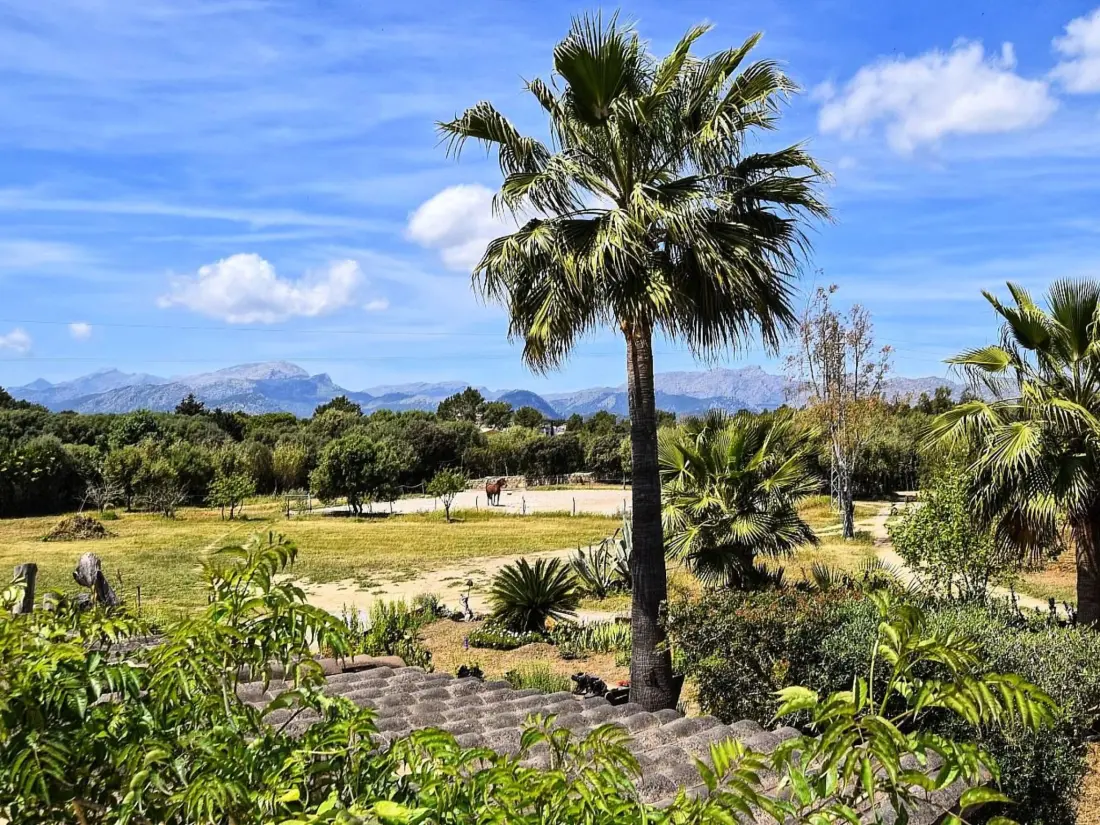 Maison de Vacances Alcúdia