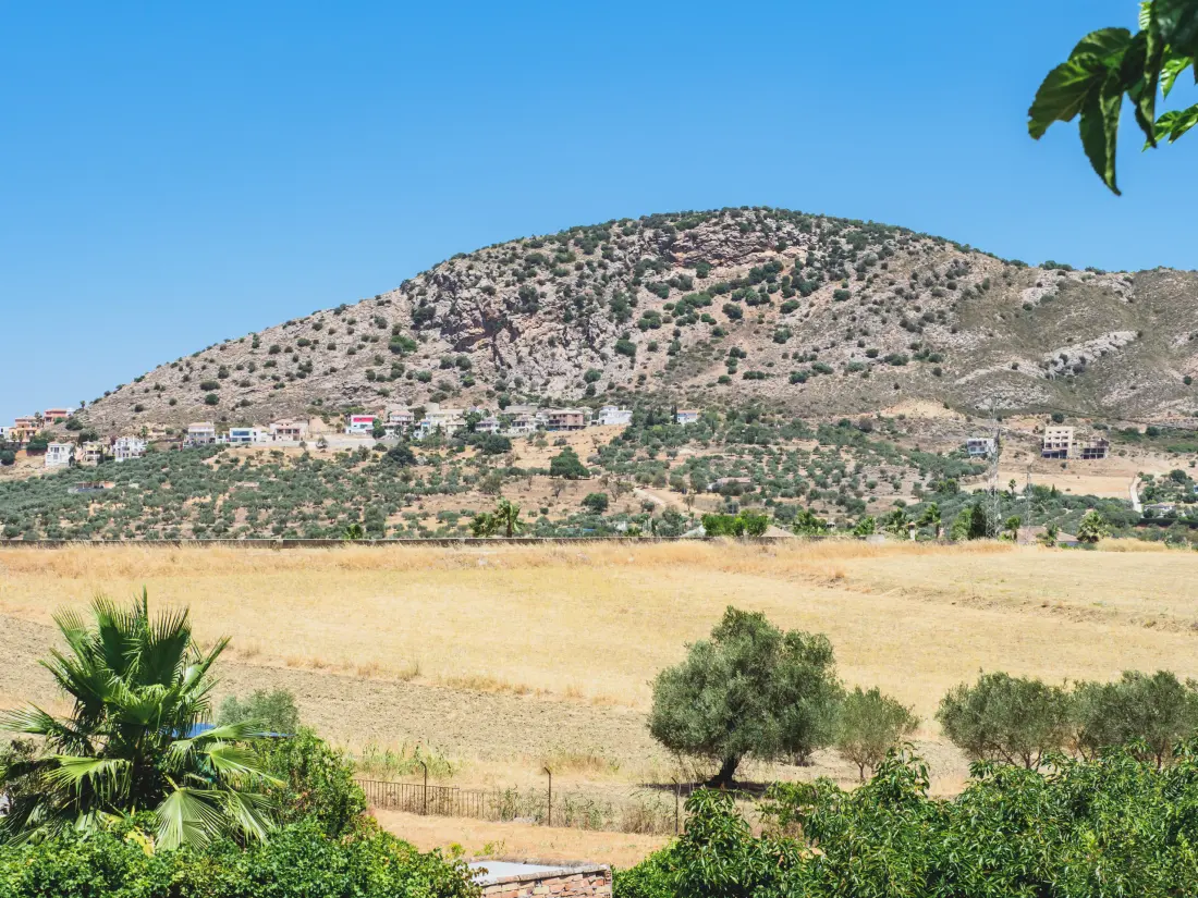 Maison à Alhaurin El Grande