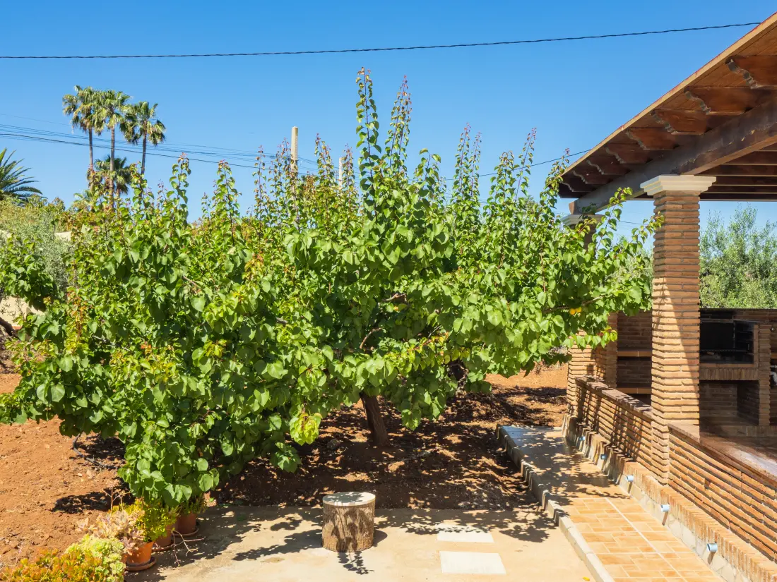 Maison à Alhaurin El Grande