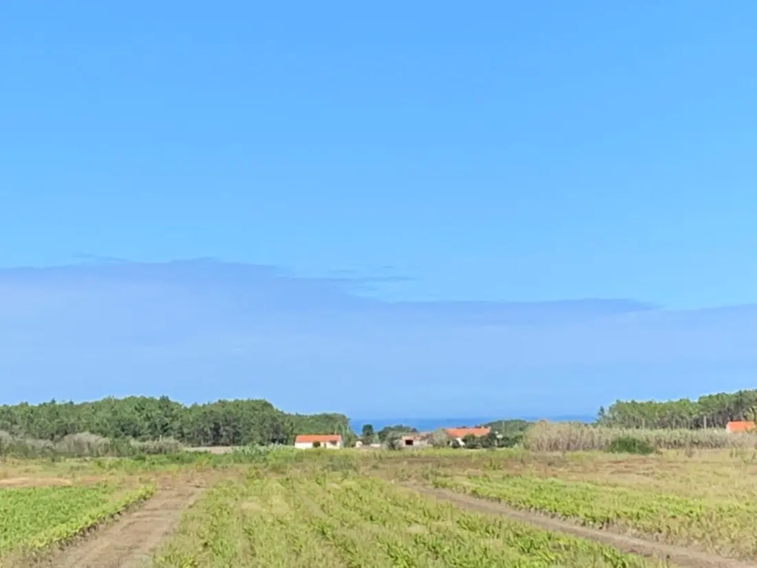 Maison de Vacances Aljezur