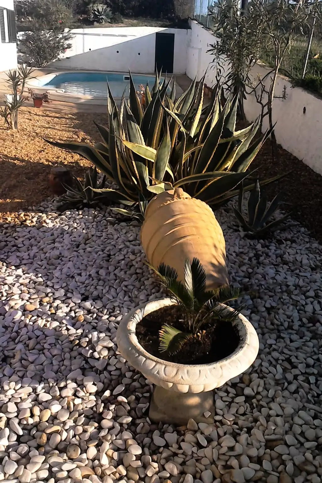Résidence STUDIO DANS VILLA AVEC PISCINE