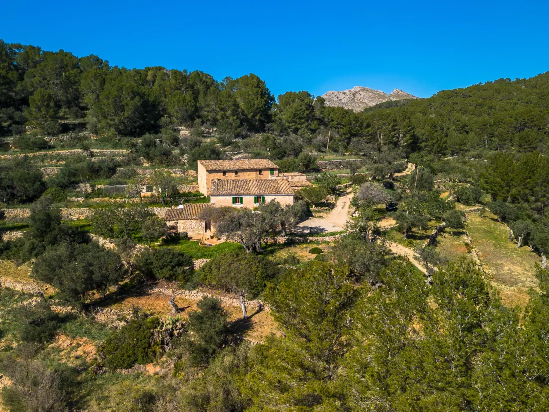 Maison de Vacances Andratx