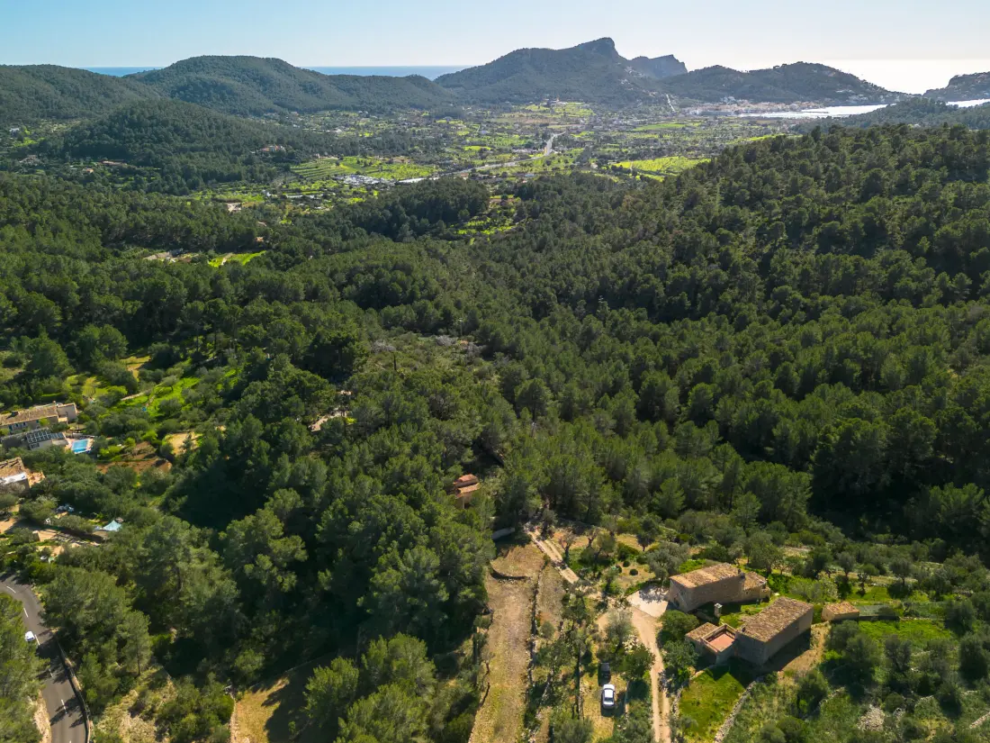 Maison de Vacances Andratx