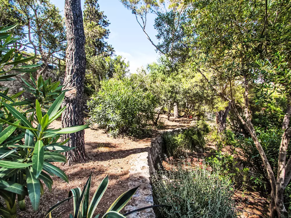 Maison de Vacances Ansedonia