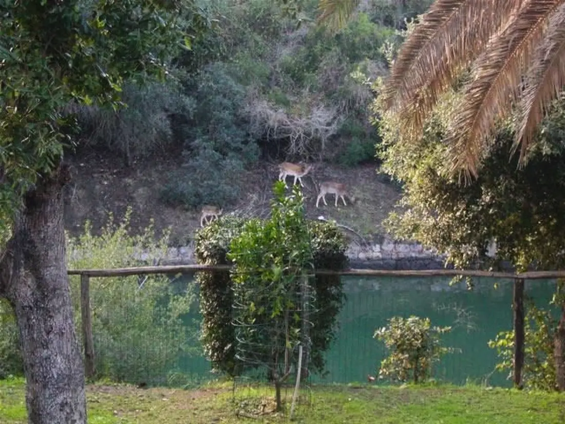 Résidence 'Villa Paradisino