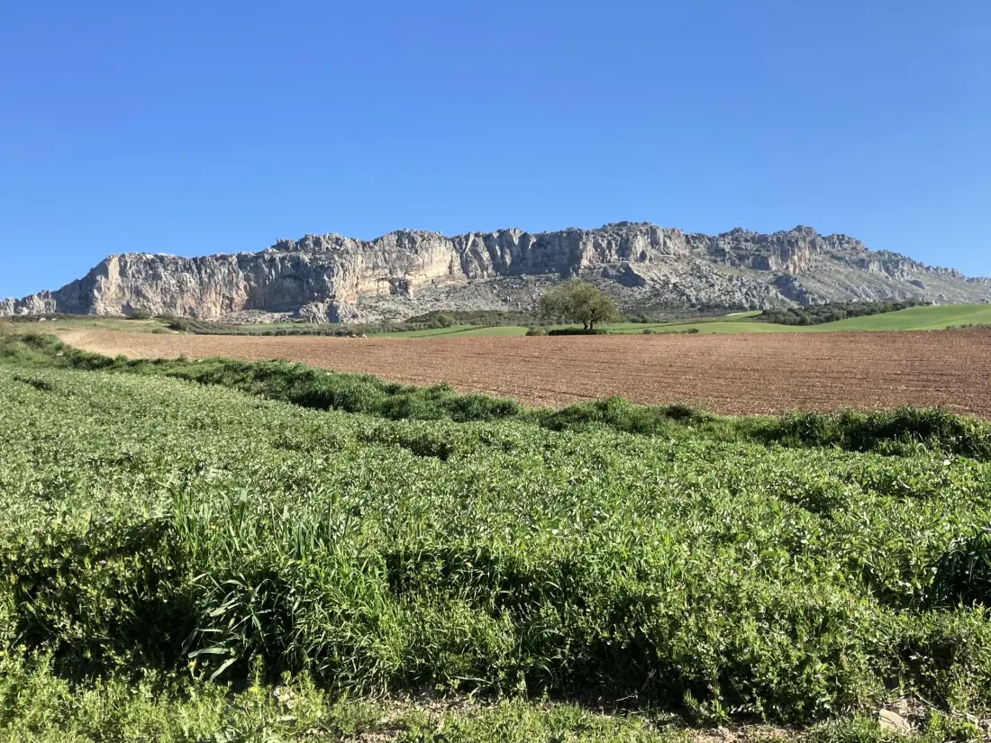 Maison de Vacances Málaga / Antequera