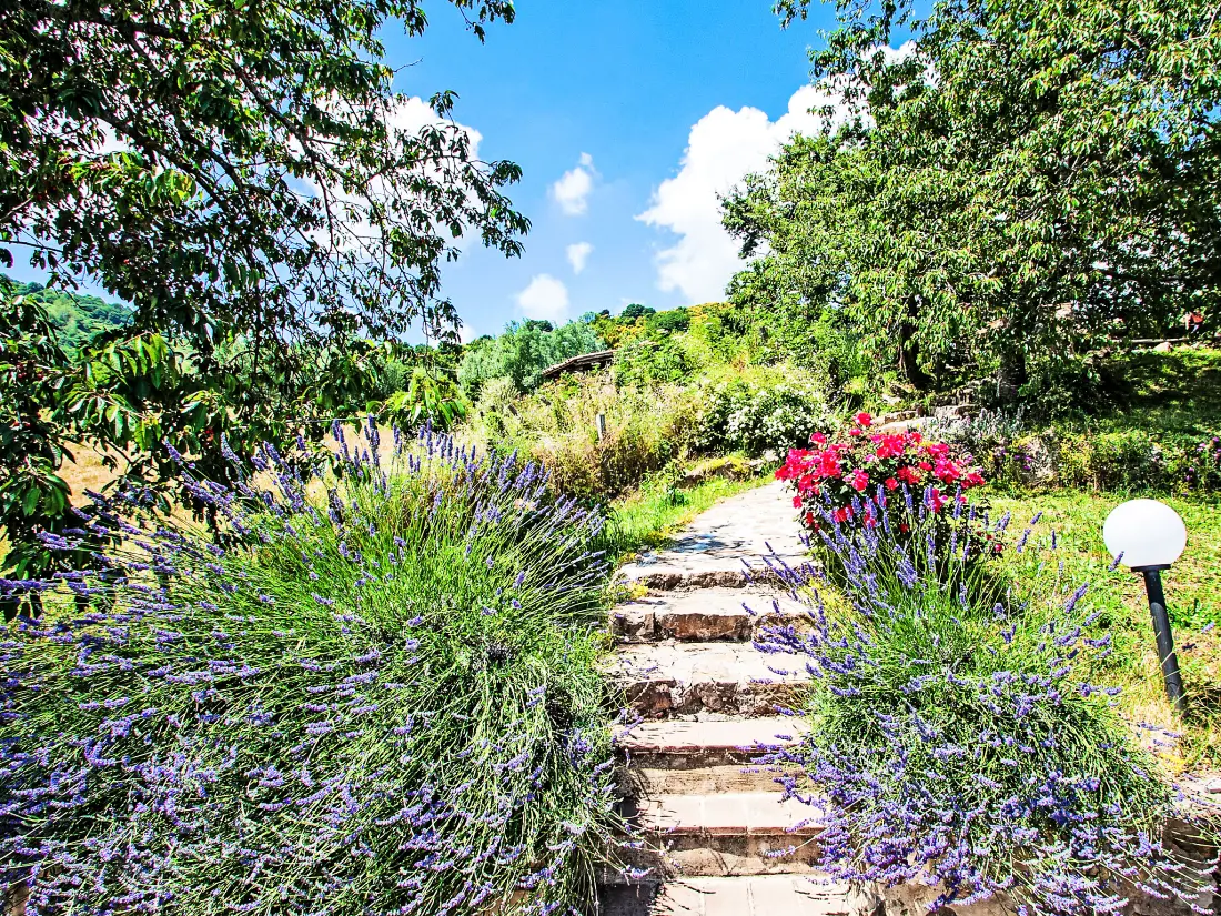 Résidence Agriturismo Antee