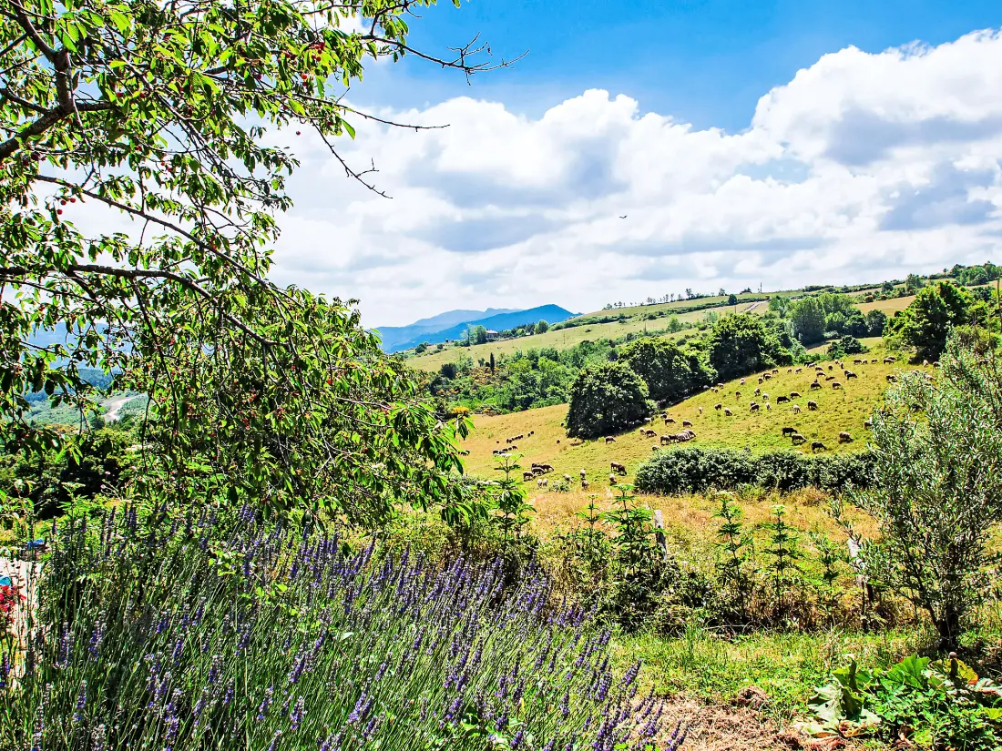 Résidence Agriturismo Antee