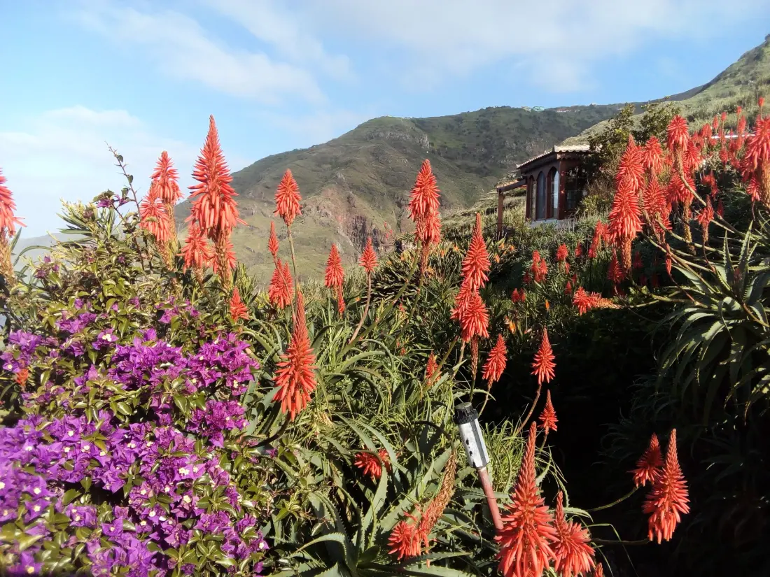 Maison de Vacances Arco da Calheta