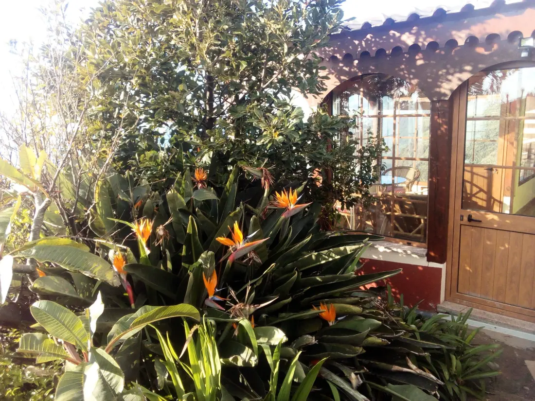 Maison de Vacances Arco da Calheta
