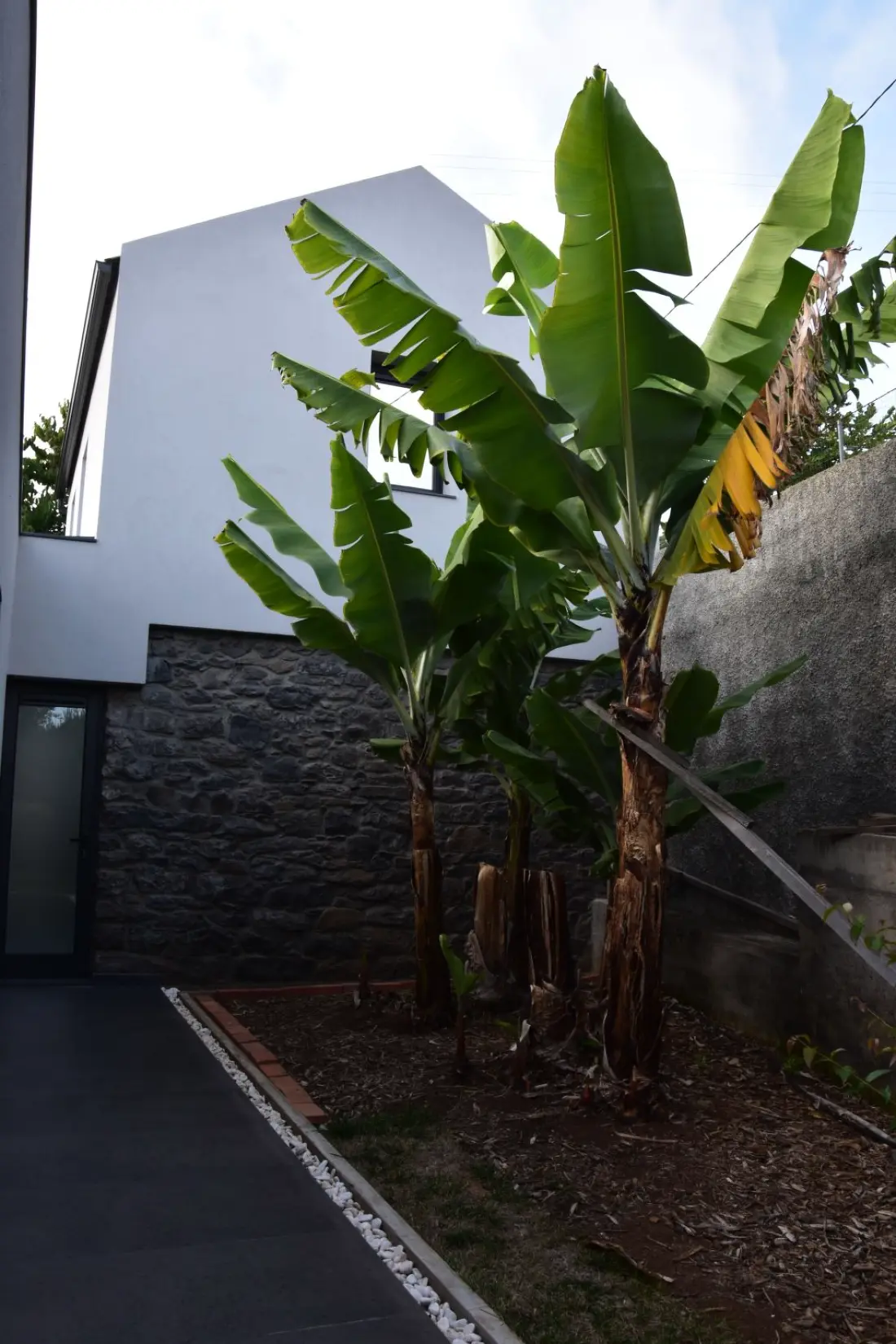 Maison de Vacances Arco da Calheta