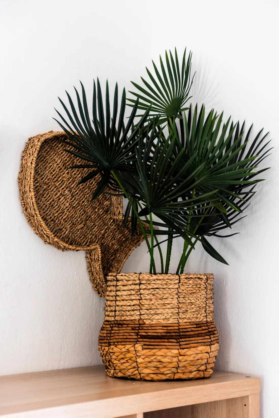 Appartements à Arenal d'en Castell
