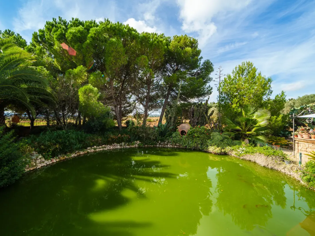 Maison de Vacances Ariany