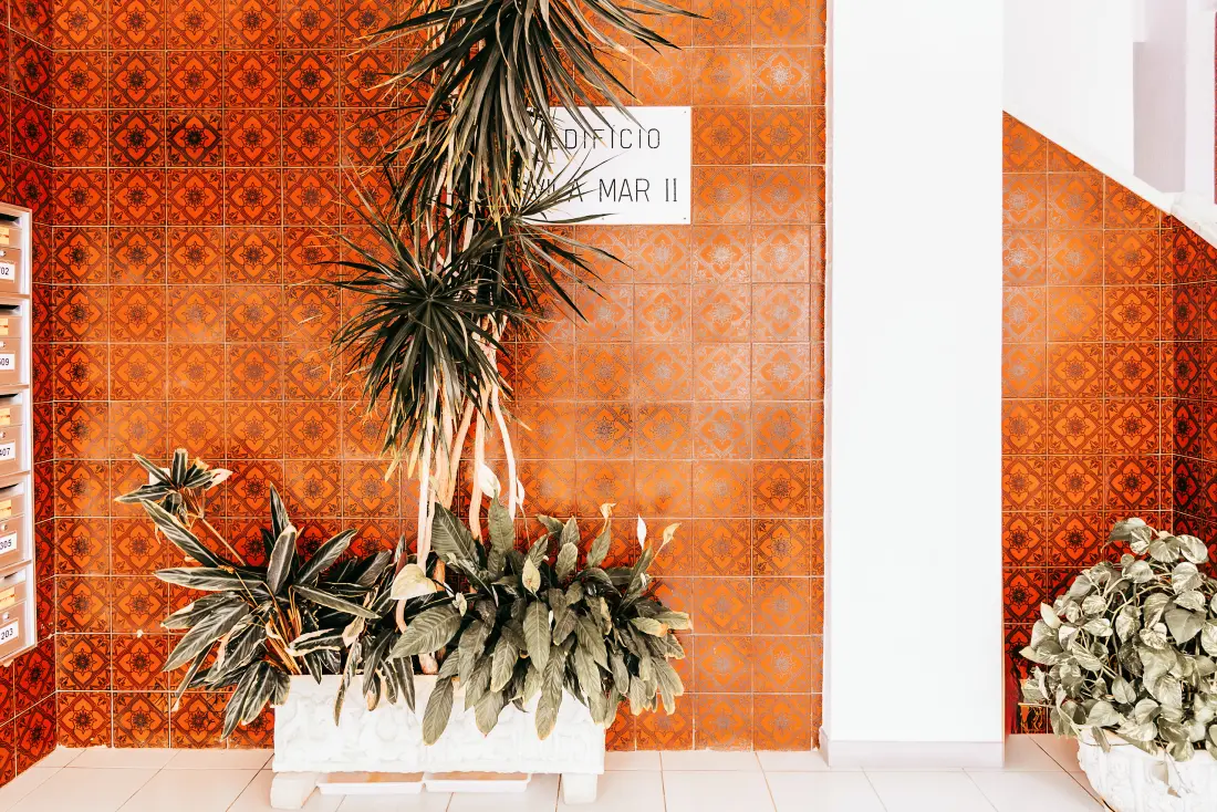 Appartements à Armaçao de Pera
