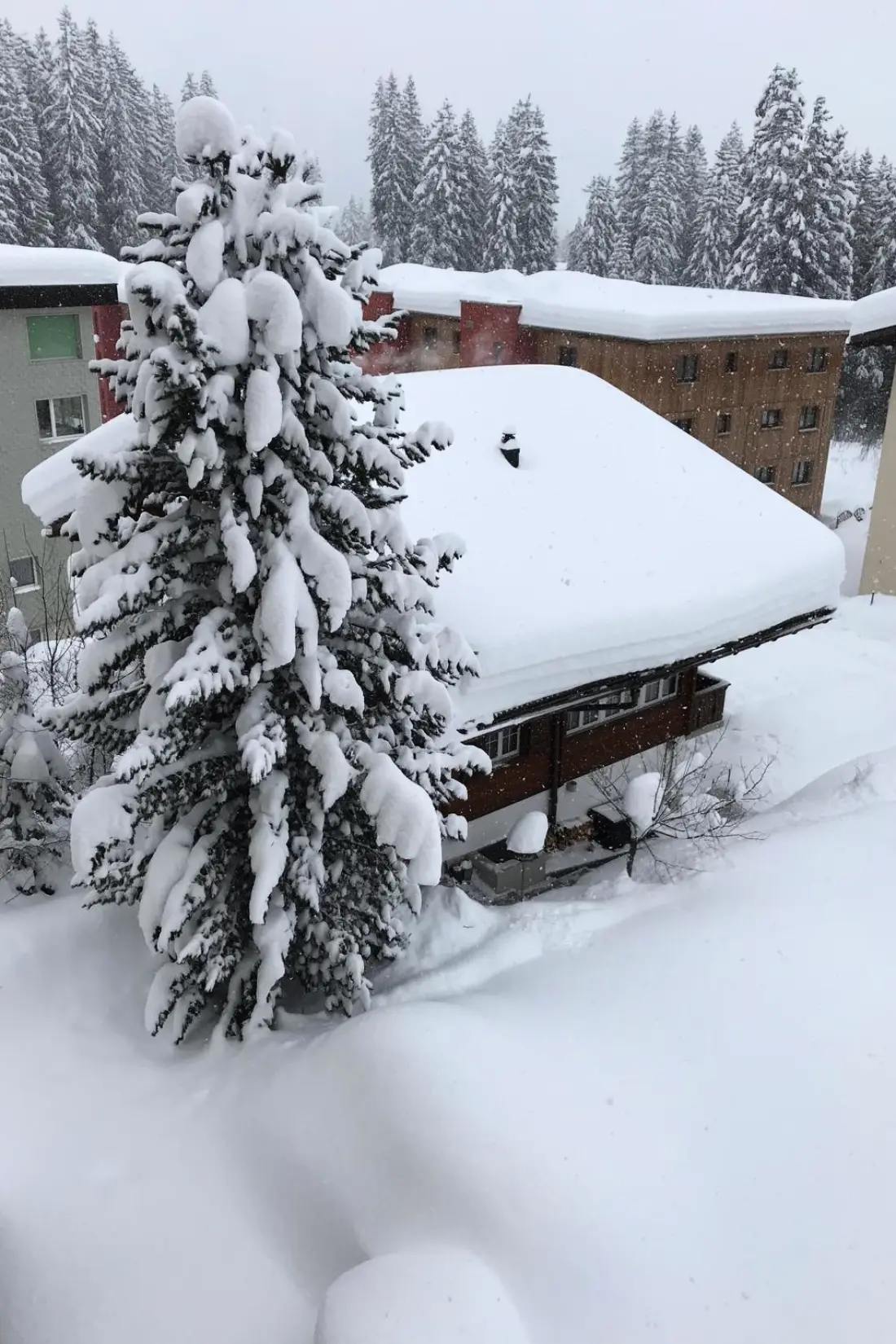 Résidence Chalet Waldperle Appartement/Fewo, Dusche, WC, 2-Bettwohnung