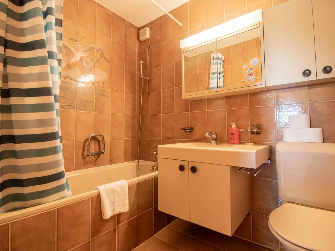 Résidence Brüggli A-24 by Arosa Holiday Appartement/Fewo, Bad, WC, 3-Bettwohnung