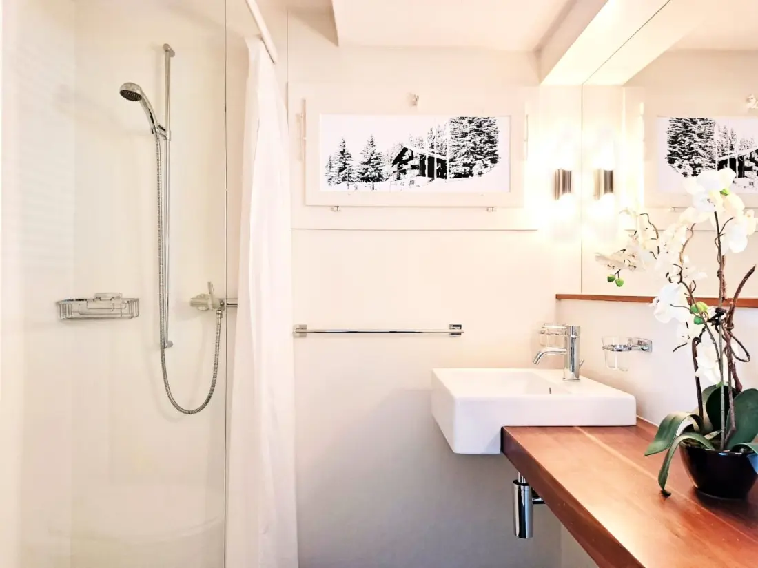 Résidence Chalet Willi-Parterre Appartement/Fewo, Dusche, WC, 2-Bettwohnung
