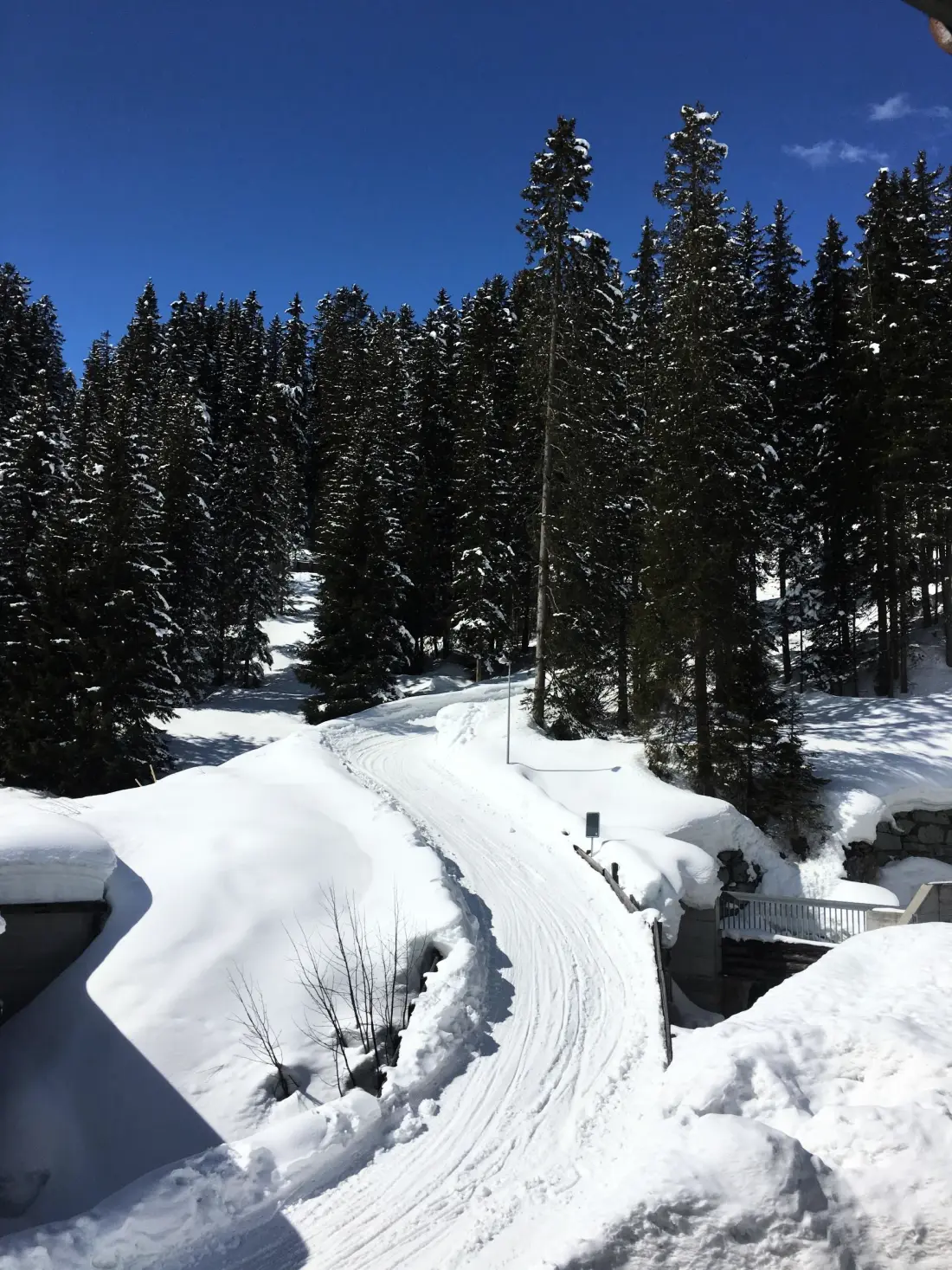 Résidence Furkablick Alice by Arosa Holiday Appartement/Fewo,   Furkablick Alice