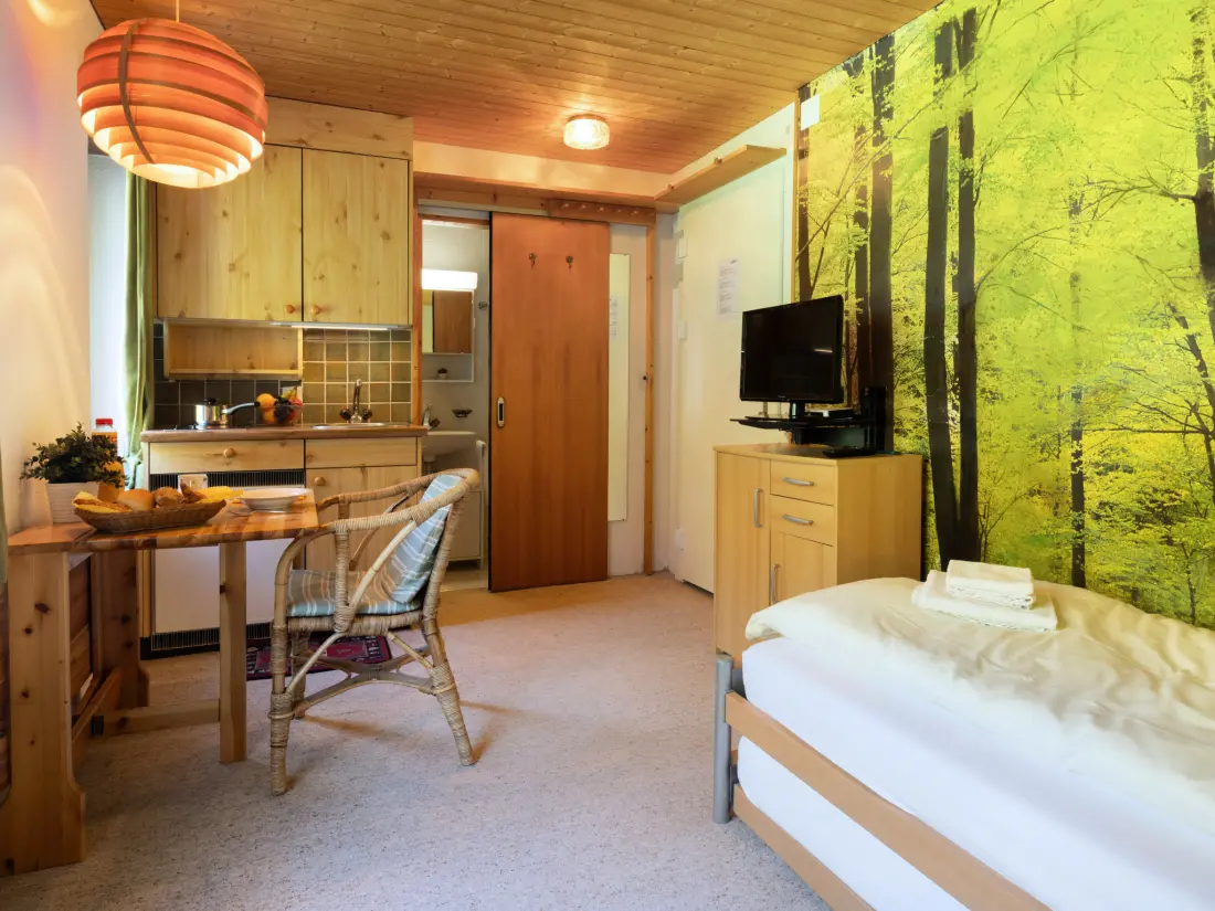 Résidence Promenade Apt 016