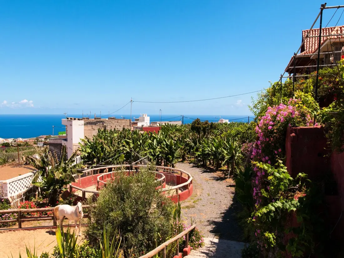 Maison de Vacances Arucas