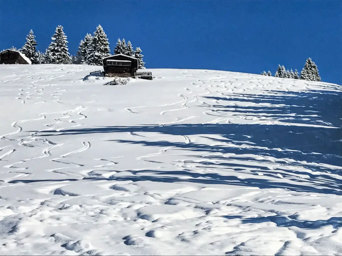 Résidence Almchalet Zillertal