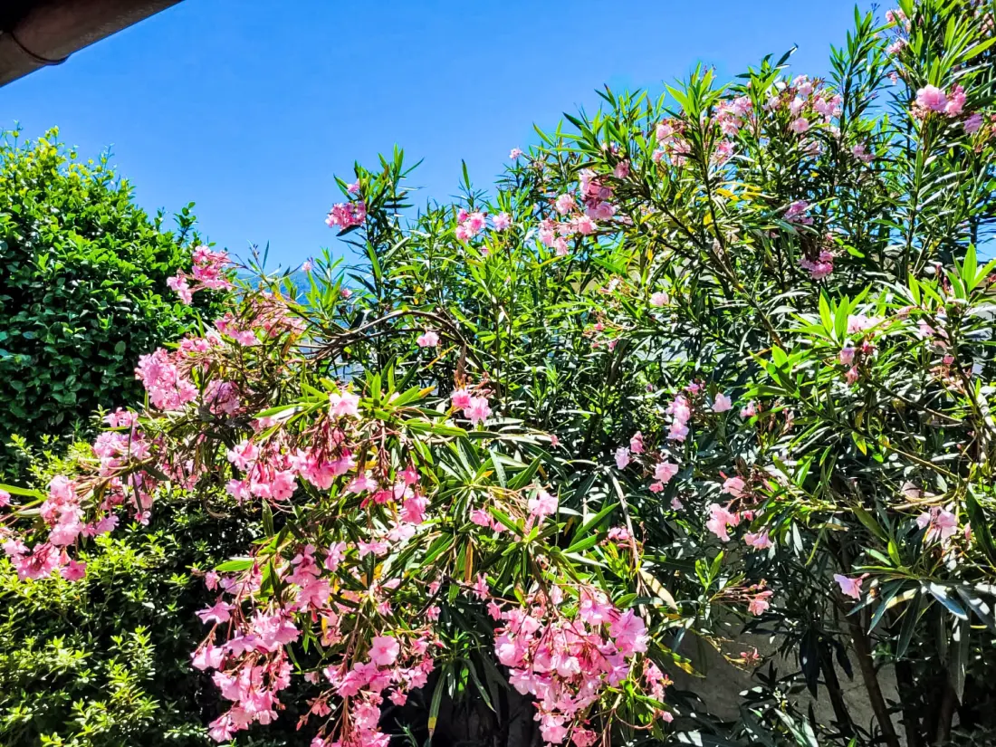 Maison de Vacances Ascona
