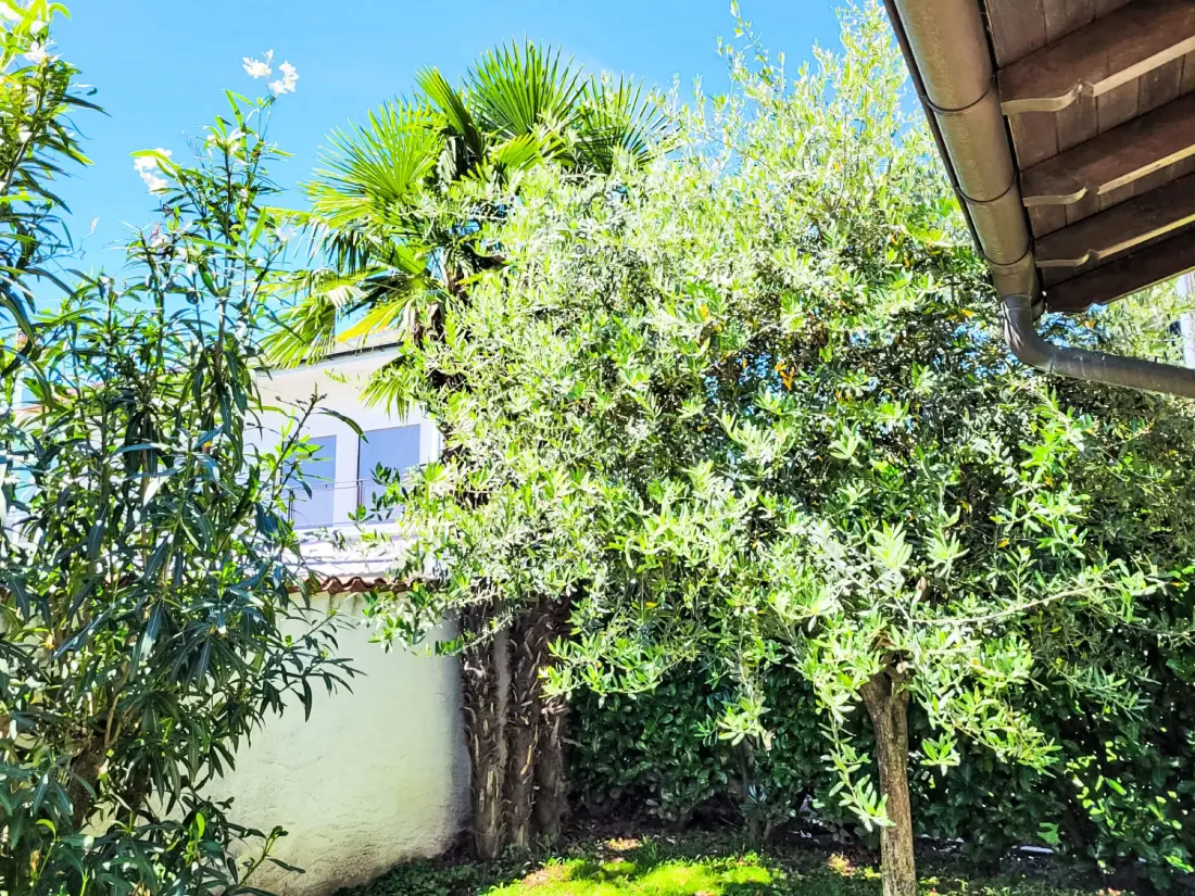 Maison de Vacances Ascona