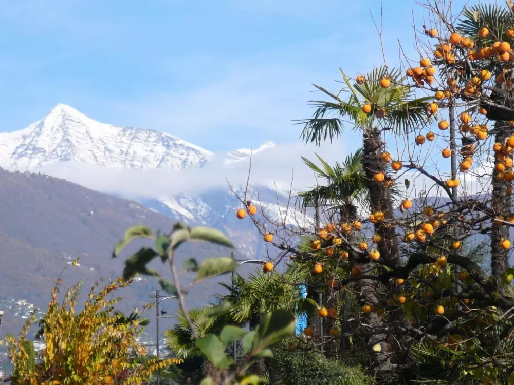 Résidence Casa Adelizia
