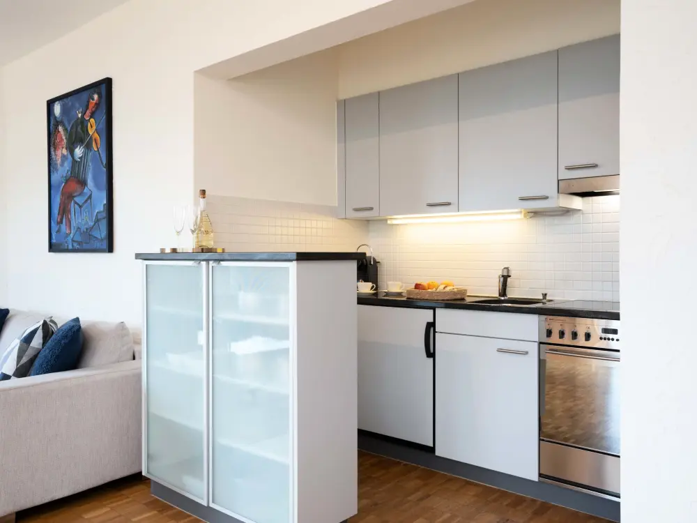 Résidence Junior Suite Modern