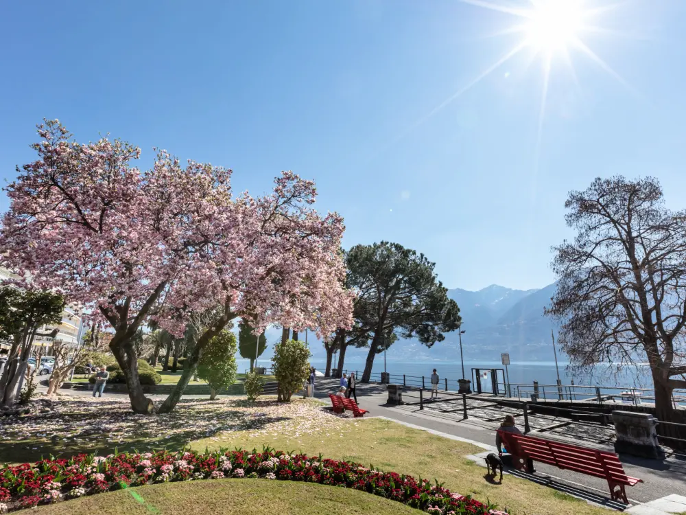 Résidence Giardino