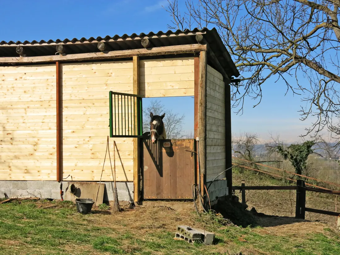Maison de Vacances Asti