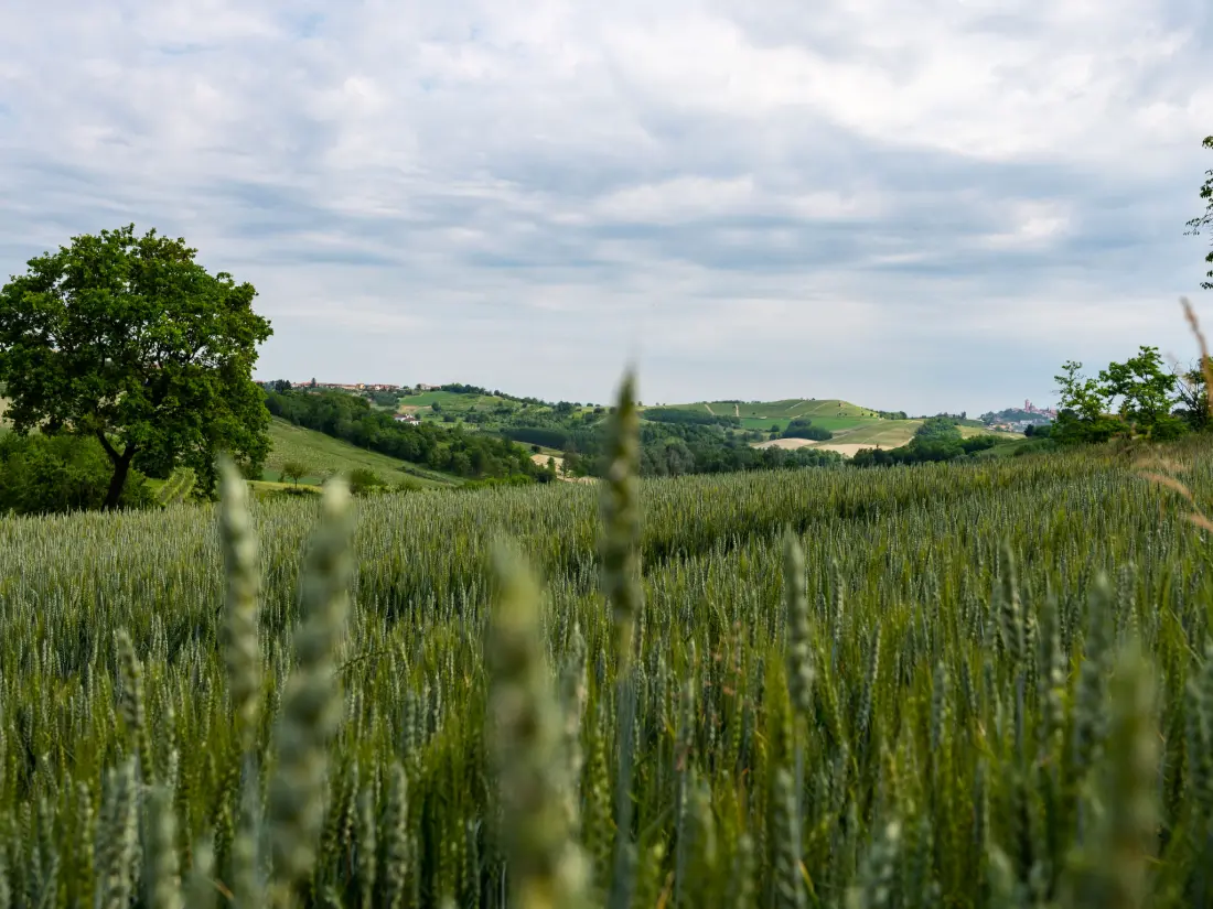 Maison de Vacances Asti